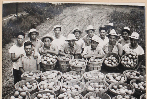 Rohwer men with picked crops (ddr-densho-379-699)