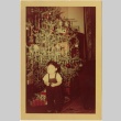 Child in front of a Christmas tree (ddr-densho-328-116)