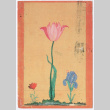 Postcard from Michi Kobi to Kaneji Domoto (ddr-densho-329-1210)