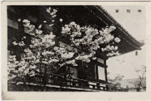 Photo front and back (ddr-densho-426-855-mezzanine-e261de11b8)