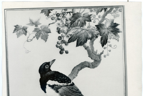 Photograph of a silk embroidered picture of a bird sitting on a branch (ddr-csujad-47-74)