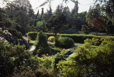 Looking onto the Japanese Garden (ddr-densho-354-1434)