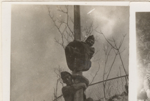 Two men climbing a pole (ddr-densho-466-307)