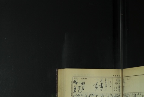 Page 217 (ddr-densho-255-9-master-1e215cb8eb)