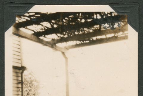 Snowy yard (ddr-densho-433-811)