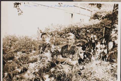 Two women sitting in long grass (ddr-densho-493-169)