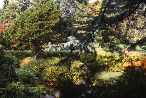 Looking down to Japanese Garden pond (ddr-densho-354-964)