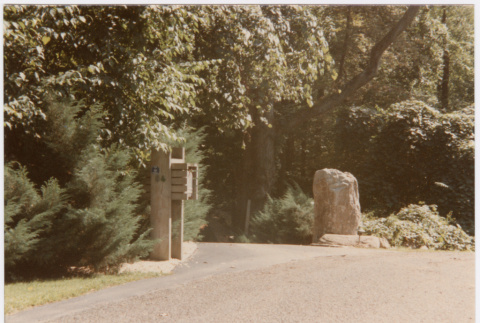 Driveway (ddr-densho-377-1795)