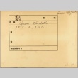Envelope of HMS Queen Elizabeth photographs (ddr-njpa-13-508)