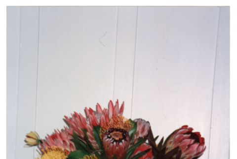 Flower arrangement in vase (ddr-densho-368-294)