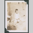 Photo of infant (ddr-densho-483-372)
