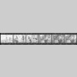 Negative film strip for Farewell to Manzanar scene stills (ddr-densho-317-132)