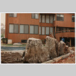 Mendoza pool under construction (ddr-densho-377-2348)