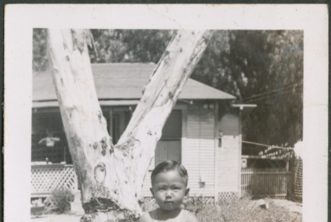 Boy with tricycle (ddr-densho-316-270)