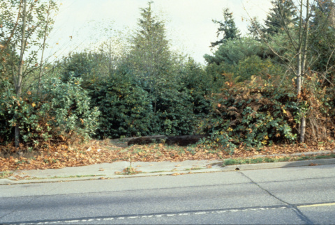 Former entrance from 51st Avenue, curb cut, looking East (ddr-densho-354-2651)