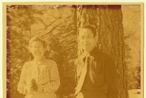 Man and woman posing with a pine tree (ddr-densho-542-3)