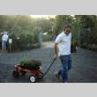 Don Brooks at the Kubota Garden Semi-Annual Plant Sale (ddr-densho-354-256)