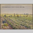Painting of farmers harvesting okra (ddr-manz-2-69)