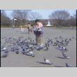 Ueno Park b-roll, part 2 of (ddr-densho-1007-1728)