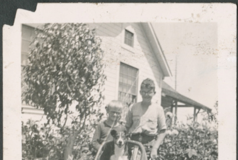 Two boys with dog in baby carriage (ddr-densho-483-596)