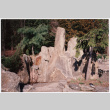 Rock feature (ddr-densho-377-1971)