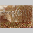 Pond with flower bloom (ddr-densho-377-2107)