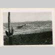 Views of Butte (ddr-densho-37-1275)