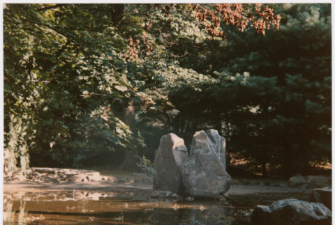 Rock feature in pond (ddr-densho-377-1954)