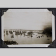 Harbor (ddr-densho-359-1315)