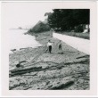 Two adults collecting driftwood (ddr-densho-433-601)