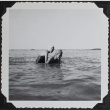 Swimming (ddr-densho-300-506)