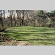 Lawn with new construction (Kubota Gardens Estates) in background.  Kubota Terrace? (ddr-densho-354-2040)