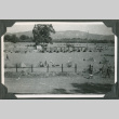 Rows of tents in field (ddr-ajah-2-218)