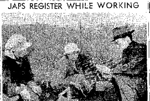 Japs Register While Working (March 12, 1942) (ddr-densho-56-686)
