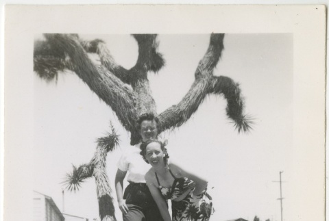 Two women posing in front of a tree (ddr-manz-7-90)