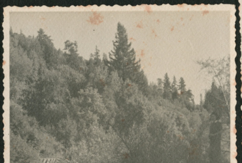 Rio Nido (ddr-densho-378-903)
