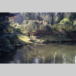 Pond in the Japanese Garden (ddr-densho-354-1235)