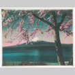 Colorized Mount Fujii in spring (ddr-densho-550-324)
