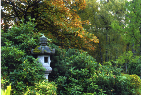 Lantern in Japanese Garden (ddr-densho-354-1711)