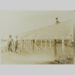 Building greenhouses (ddr-densho-357-685)