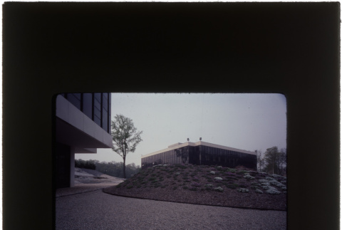 Landscaping at the Schulman 3 project (ddr-densho-377-802)