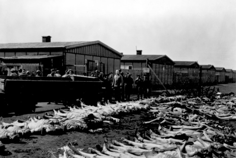 Dachau concentration camp (ddr-densho-22-6)