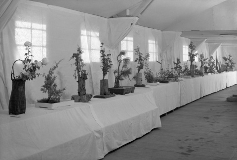 Ikebana exhibit in camp (ddr-fom-1-125)