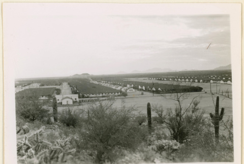 Cacti surround Camp Butte (ddr-densho-37-1278)