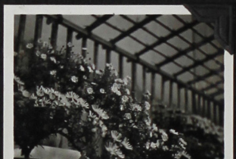 Floral demonstration at the Golden Gate International Exposition (ddr-densho-300-378)