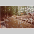 Landscaping under construction (ddr-densho-377-2563)