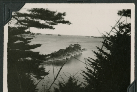 Islet in Matsushima Bay (ddr-densho-397-153)