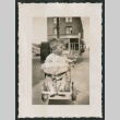 Photo of a child in a wagon (ddr-densho-483-793)