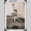 Toddler on tricycle (ddr-densho-483-663)