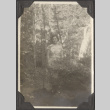 A woman standing in a forest (ddr-densho-432-172)